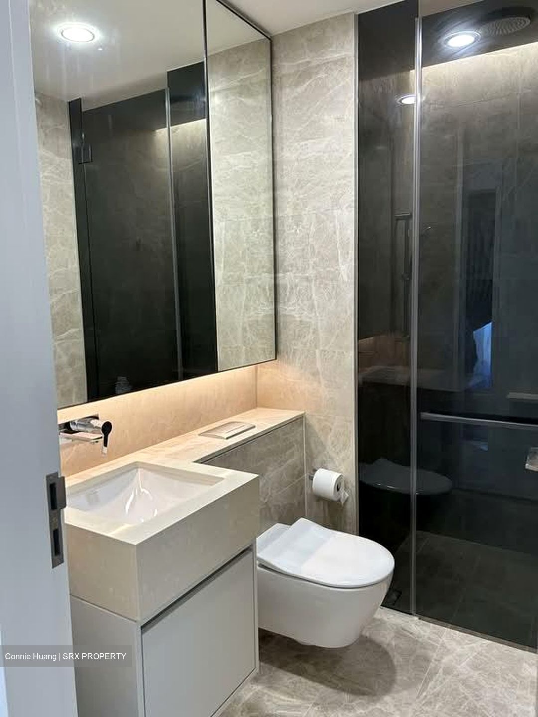 Amber Park (D15), Condominium #565545881